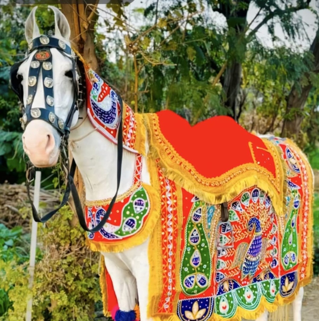 Ghodi Service
